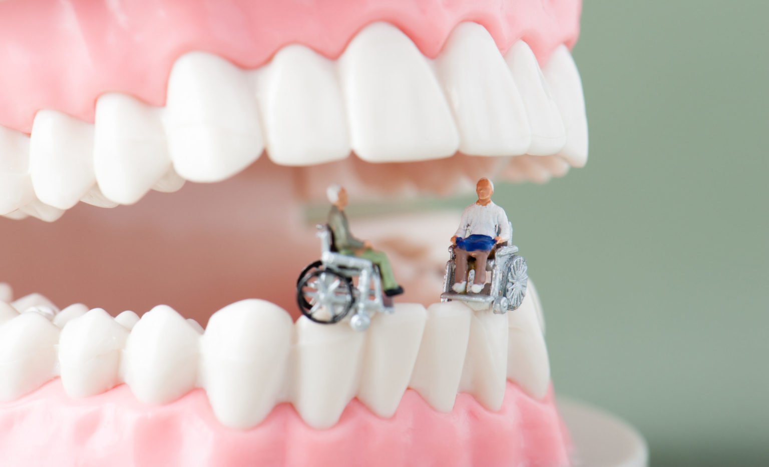 将来、健康な歯を残すために虫歯を未然に防ぐ | 予防歯科の方法