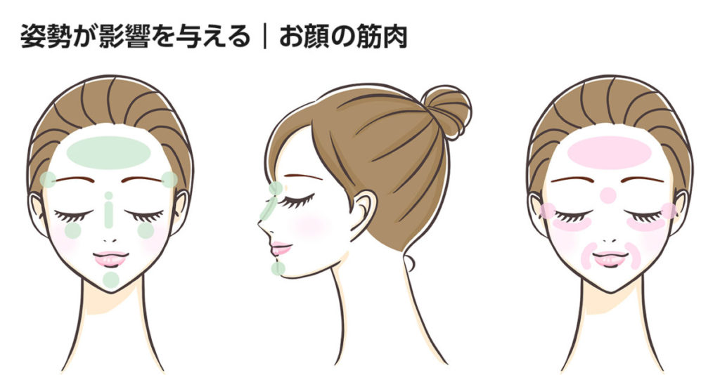 姿勢が影響を与える|お顔の筋肉