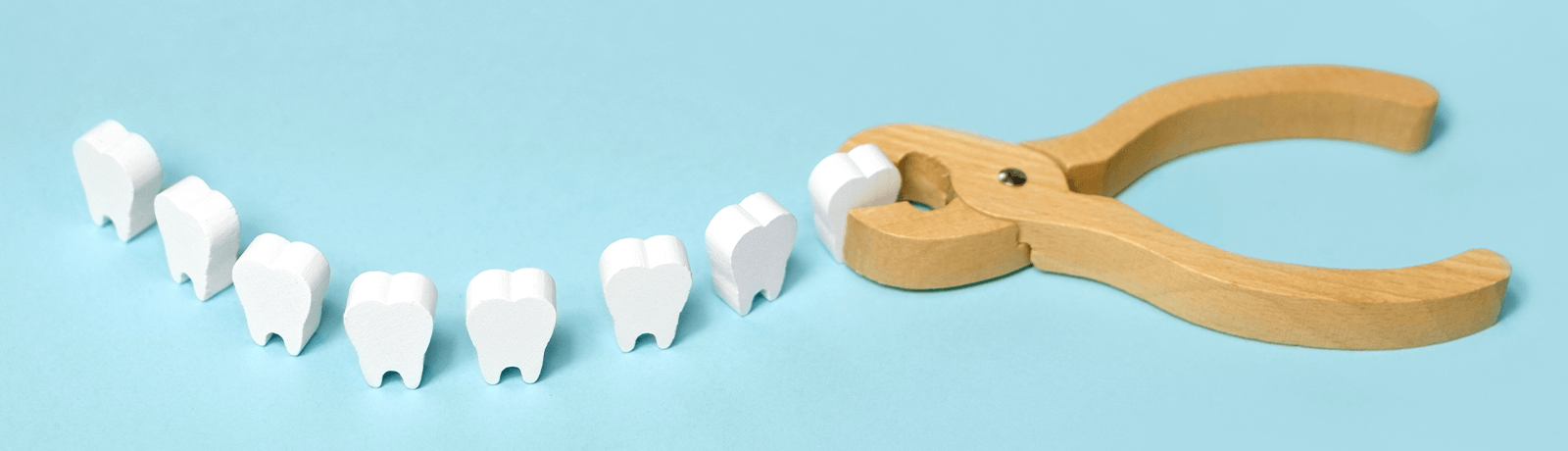 SP版ボツリヌスのFV